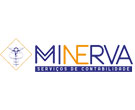 Minerva Processamento De Dados Contbeis Ltda